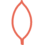 best-mongodb-bootcamps Best MongoDB